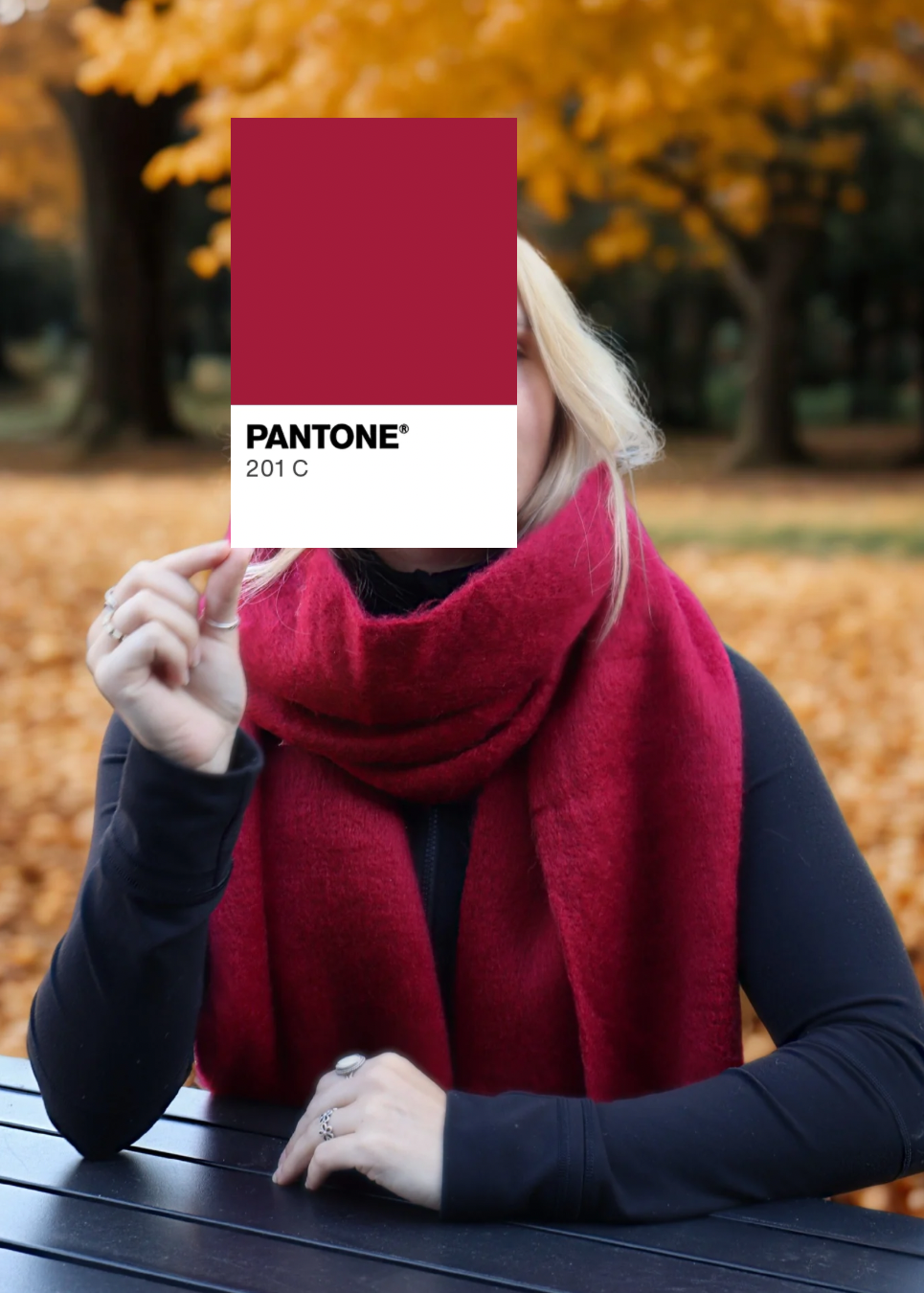 Flavie Scarf