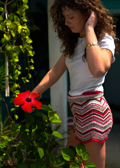 Nassau Chevron Knit Shorts