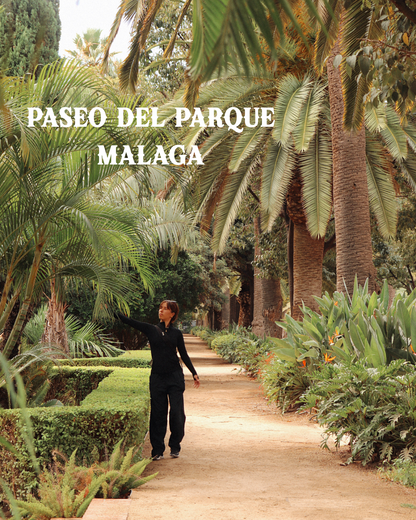 Lined Pants Paseo