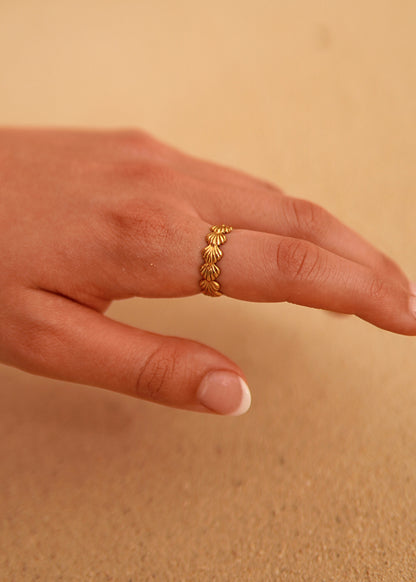 Seashell Ring - adjustable