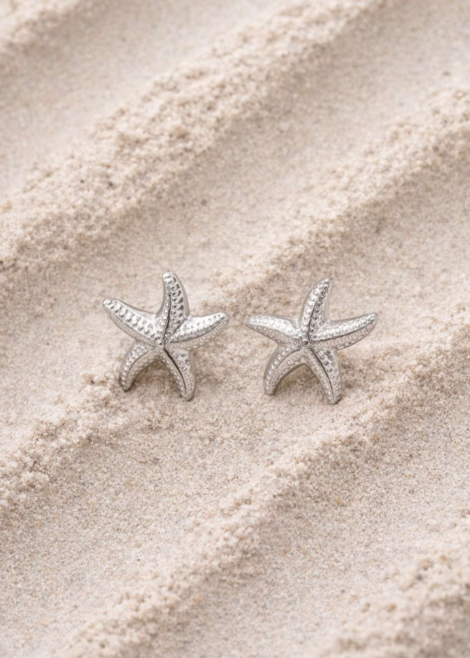 Boucles d'oreille Holchan - Argent