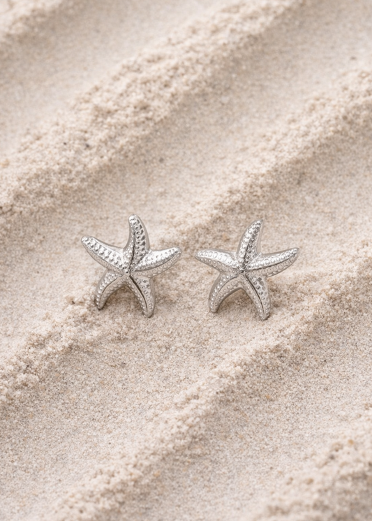 Holchan Earrings - Silver