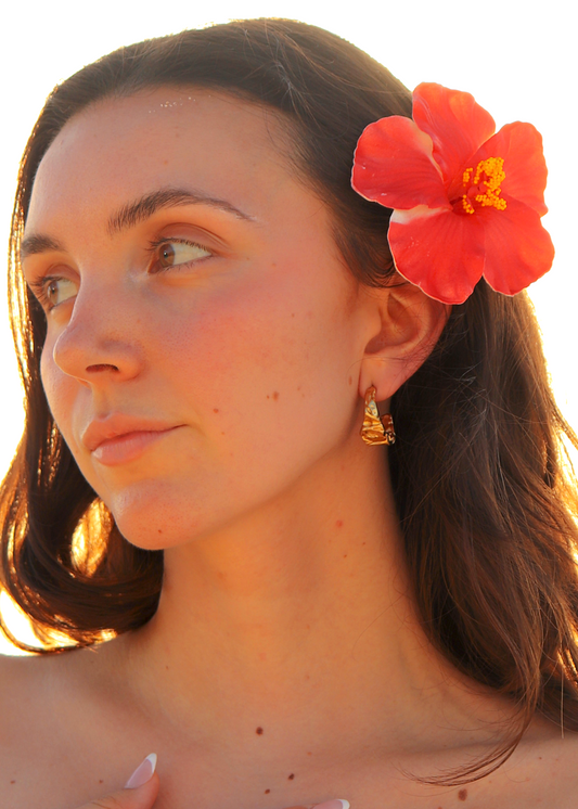 Ambergris Hoop Earrings - Gold