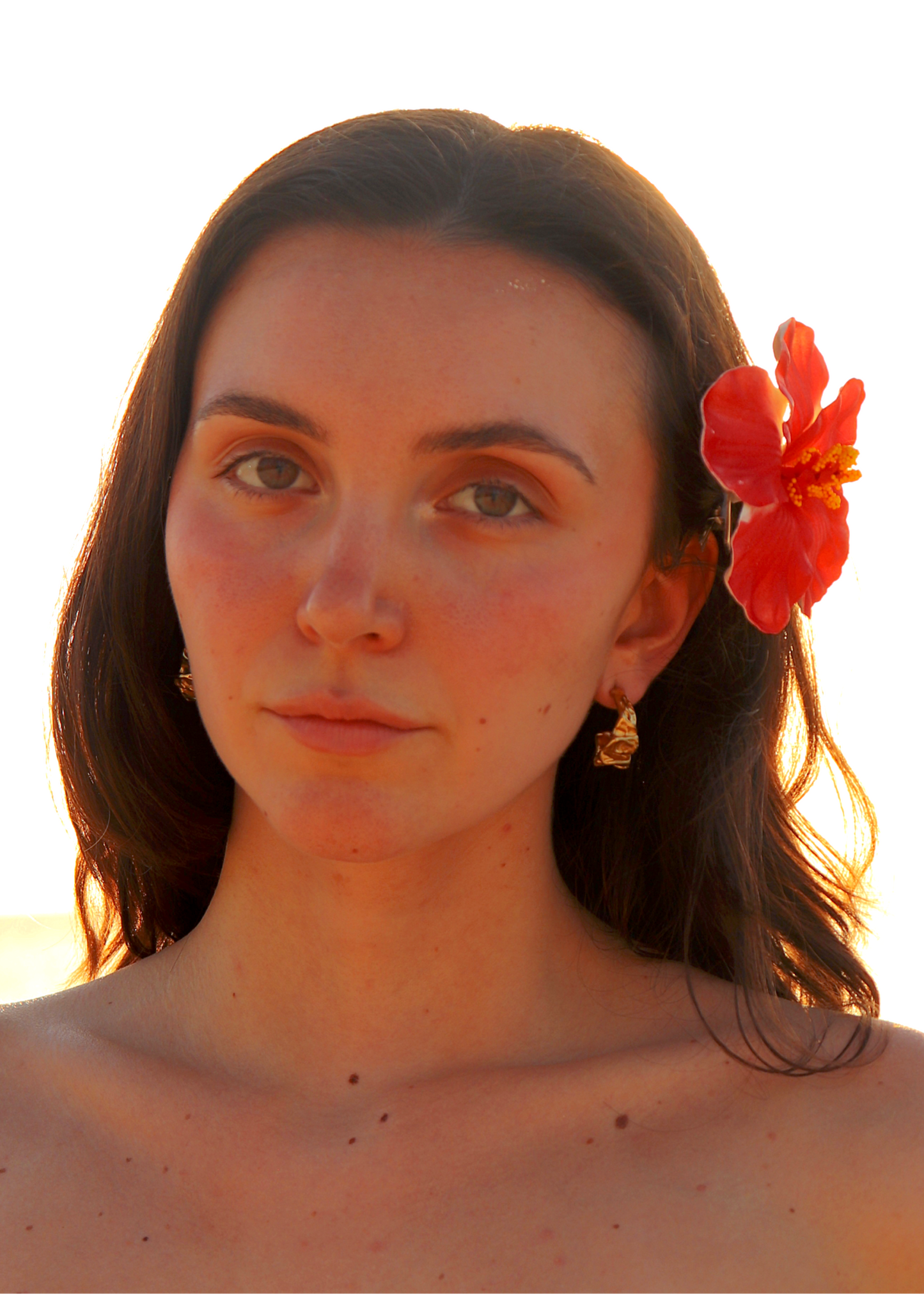 Ambergris Hoop Earrings - Gold